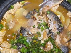 -探鱼·鲜青椒爽麻烤鱼(广州花都来又来店)
