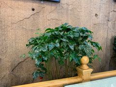 -长春观斋补堂素菜馆