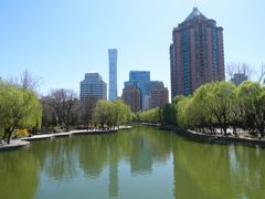-团结湖公园