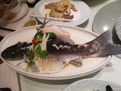 -千灯盛汇·头牌粤菜(致越优城店)