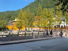 -九华山风景区