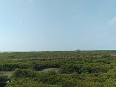 -北海金海湾红树林生态旅游区