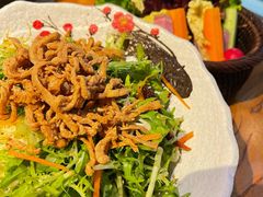 肉丝拌苦苣-黑牛の店·和牛烧肉(大悦城店)