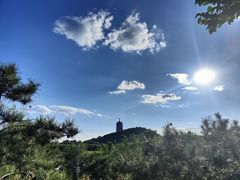 -永定河休闲森林公园