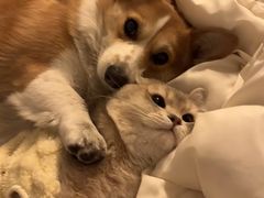 -荔康动物医院(康王北路店)