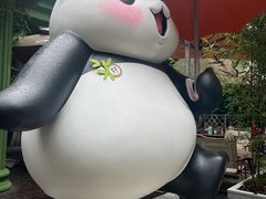 -轩客会(熊猫书店)