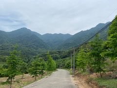 -福清灵石山国家森林公园