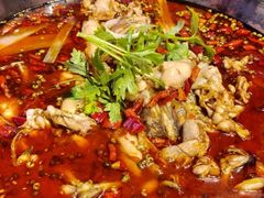 -蛙老爹·蜀香美蛙鱼头(王家湾店)
