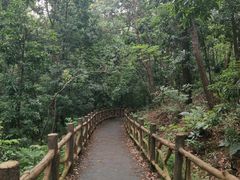 -青龙山国家森林公园