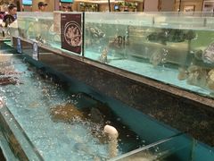 -西贝海鲜汇(槐安路店)