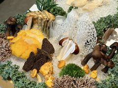 -若蘭慈·无国界素食料理(欢乐海岸店)