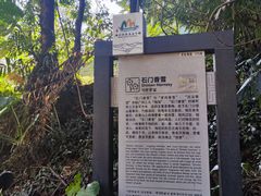 -广州市石门国家森林公园
