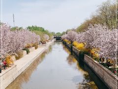 -海棠花溪(元大都城垣遗址公园)