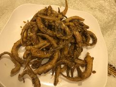 金沙鱿鱼须-吉源大排档·鱼生·海鲜(烧烤彩印厂店)