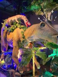 -恐龙探索乐园(磁器口店)