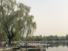 -后海公园