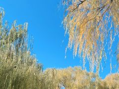 -满都海公园