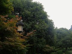 -涂山寺素食餐厅
