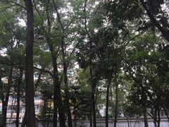 -十九路军淞沪抗日阵亡将士陵园