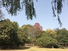 -钟山体育运动公园