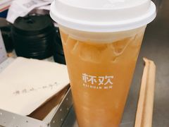 千杯不醉啤酒金凤-杯欢制茶(三里屯店)
