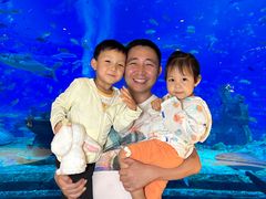 -亚特兰蒂斯•OSSIANO奥西亚诺海底餐厅