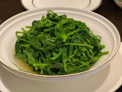 清炒豌豆尖-甄御•海鲜新青岛菜(麦岛店)