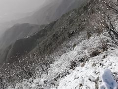 -阳台山自然风景区
