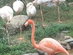 -昆明动物园