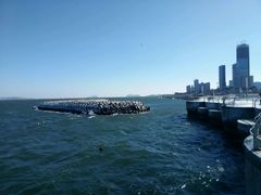 -东港音乐喷泉广场