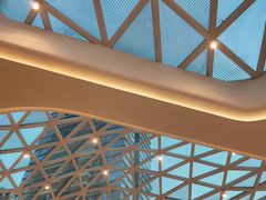 -棕榈MALL