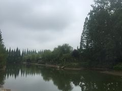 -黄海国家森林公园