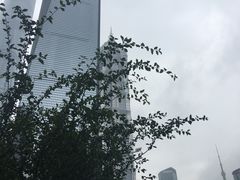 -上海环球金融中心云端足球盛典