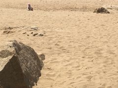 -北戴河东海水浴场