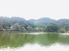 -广州市帽峰山景区