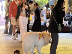 -瑞虹新天地月亮湾