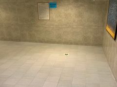 -大连金石滩绿发温泉假日酒店