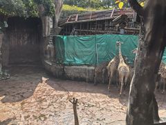 -长鹿旅游休博园