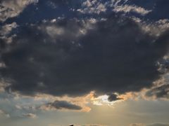 -成都市第二人民医院(庆云院区)