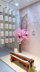 -一揽芳华汉服旗袍体验馆(拙政园店)