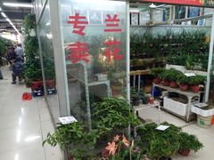 -无锡文化工艺品市场(槐古路店)