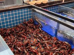 -黑金·寻焰自助百汇·烤肉·火锅(中街店)