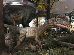 -湖南省地质博物馆