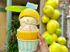 -苏小糖(鼓浪屿三丘田花园店)