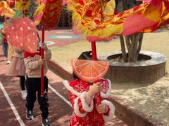 -协和实验幼儿园