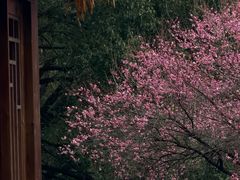 -中国茶叶博物馆(双峰馆区)