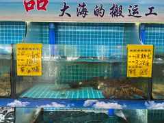 -坛南湾农家乐·海鲜楼·大排档(平潭坛南湾店)
