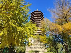 -玲珑塔公园