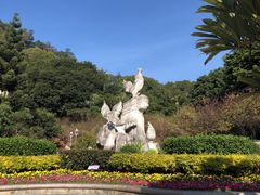 -金鸡山公园