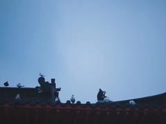 -博鳌禅寺